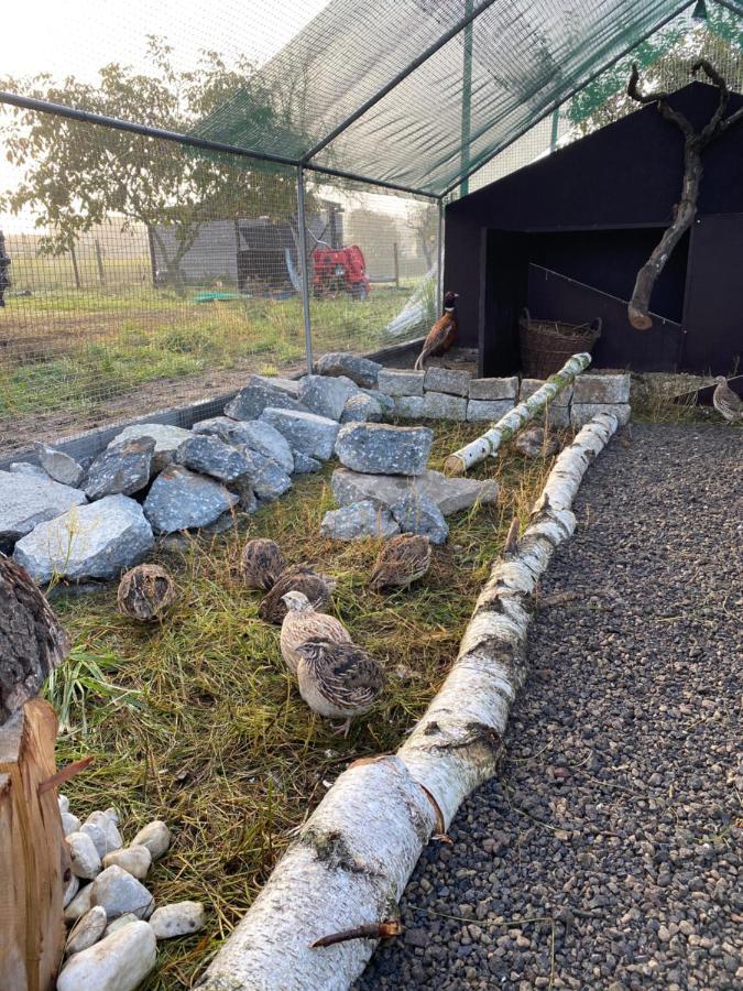 Ferienwohnung Auf Dem Bauernhof Cottbus Eksteriør bilde